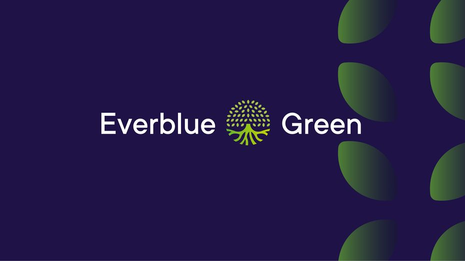 Брендинг и сайт для Evwrblue&Green, крупной международной инвестиционной компании из Греции