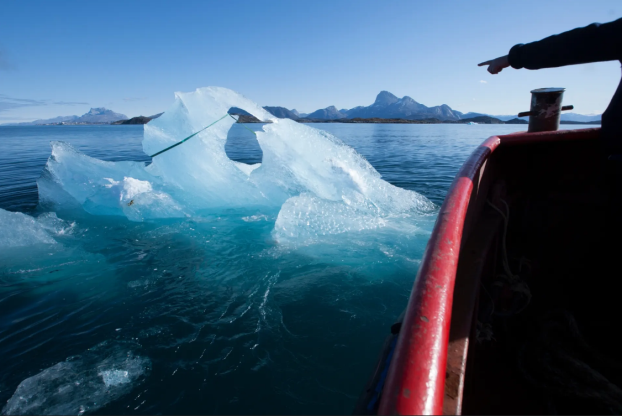 Олафур Элиассон. Ice Watch, 2014. Фото с публичного сайта автора [1]